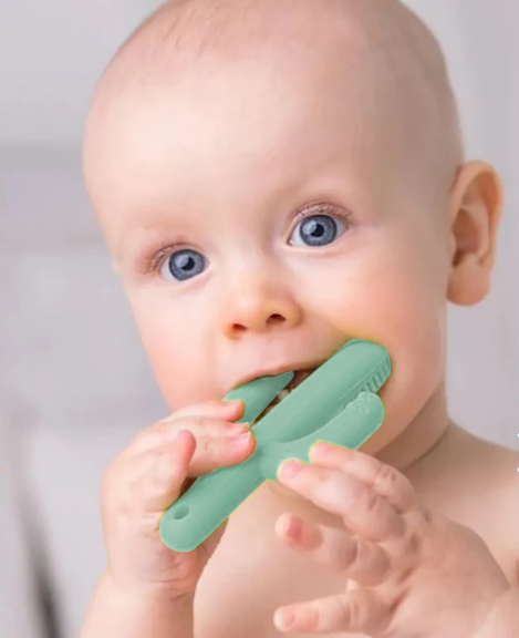 Meleni Baby Kaktüs Bebek Diş Kaşıyıcı Bebek Diş Kaşıma Dişlik - Yeşil
