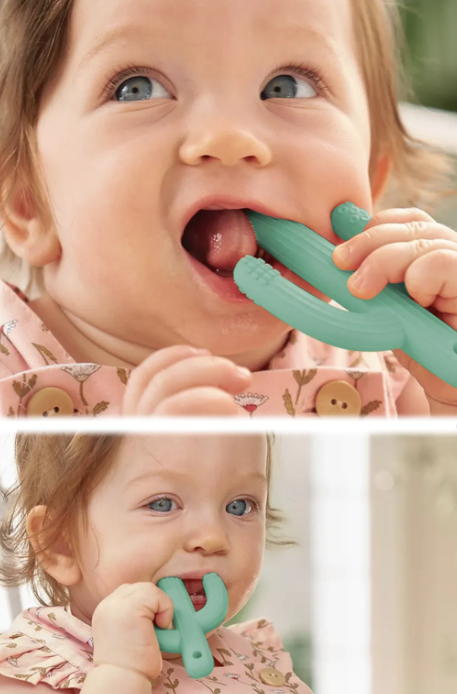 Meleni Baby Kaktüs Bebek Diş Kaşıyıcı Bebek Diş Kaşıma Dişlik - Yeşil