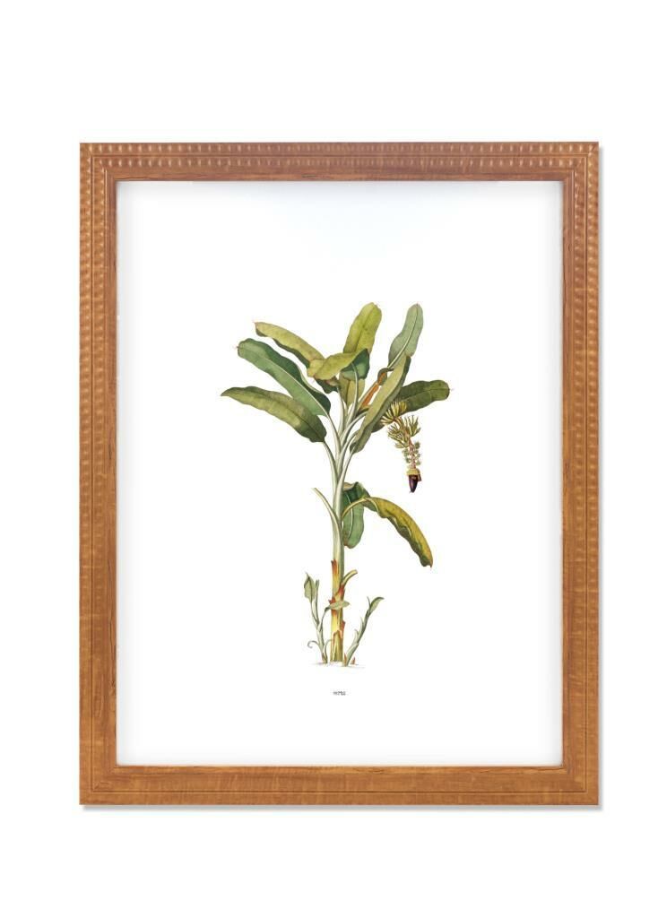 VIMINI ÇERÇEVE 40x50 CM