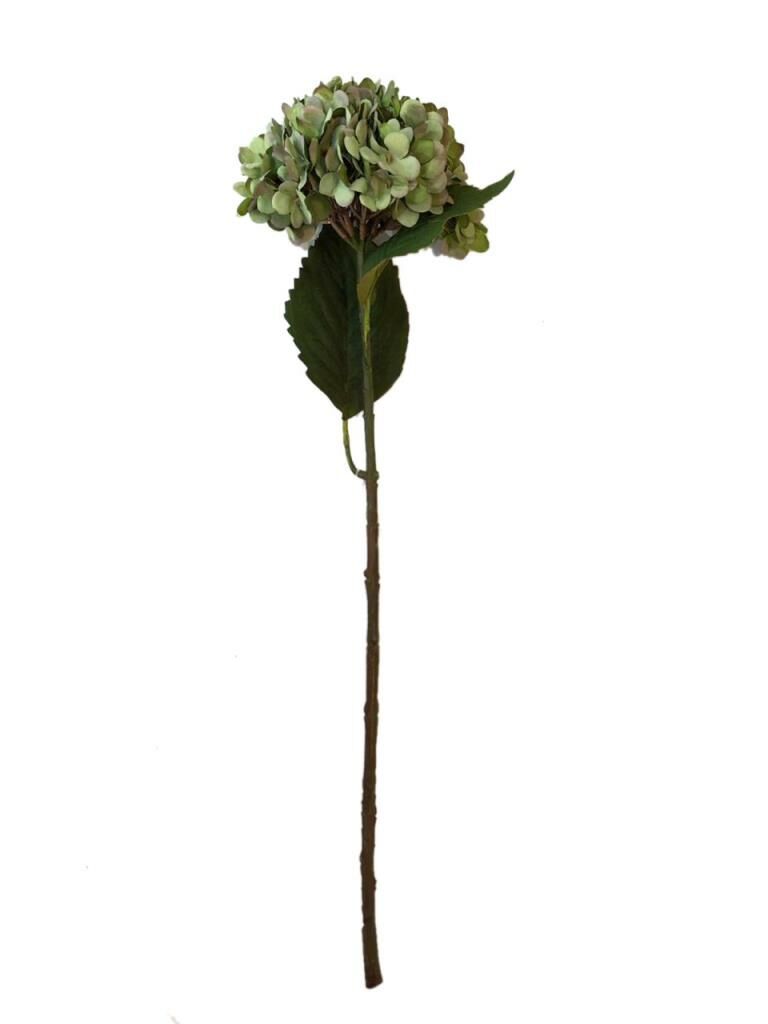 ORTANCA TEK DAL YEŞİL 56 cm