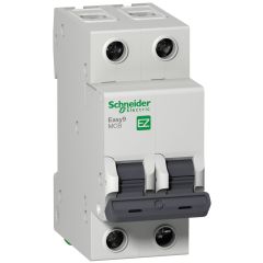 Schneider Electric EZ9F56250 2X50A 6kA C Serisi Otomatik Sigorta