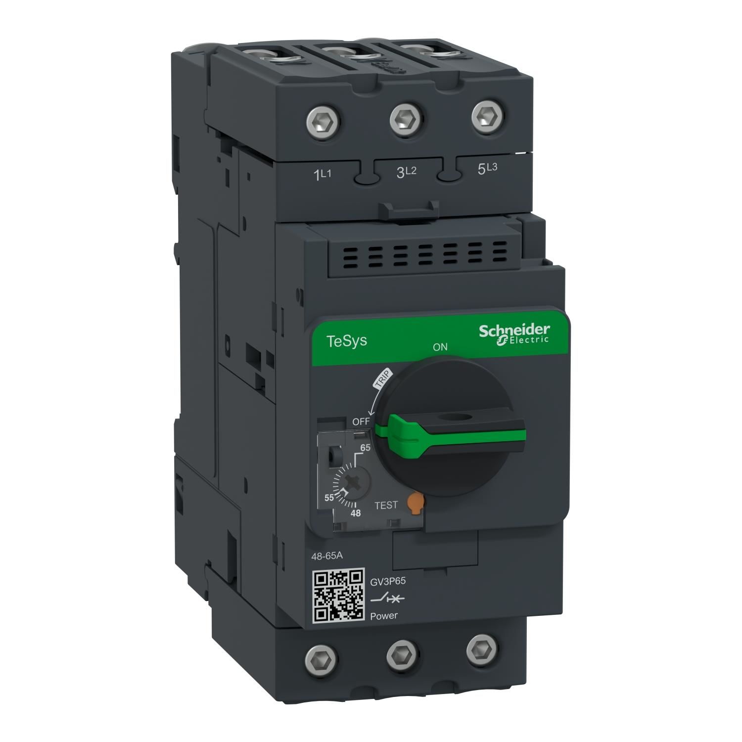 Schneider Electric GV3P65 Motor Koruma Şalteri 48-65A