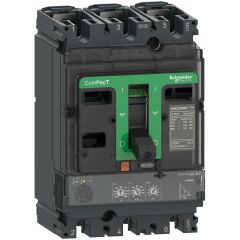 Schneider Electric C25N32D250 3X250A 50KA TER. MNY. ŞLT. NSX250N