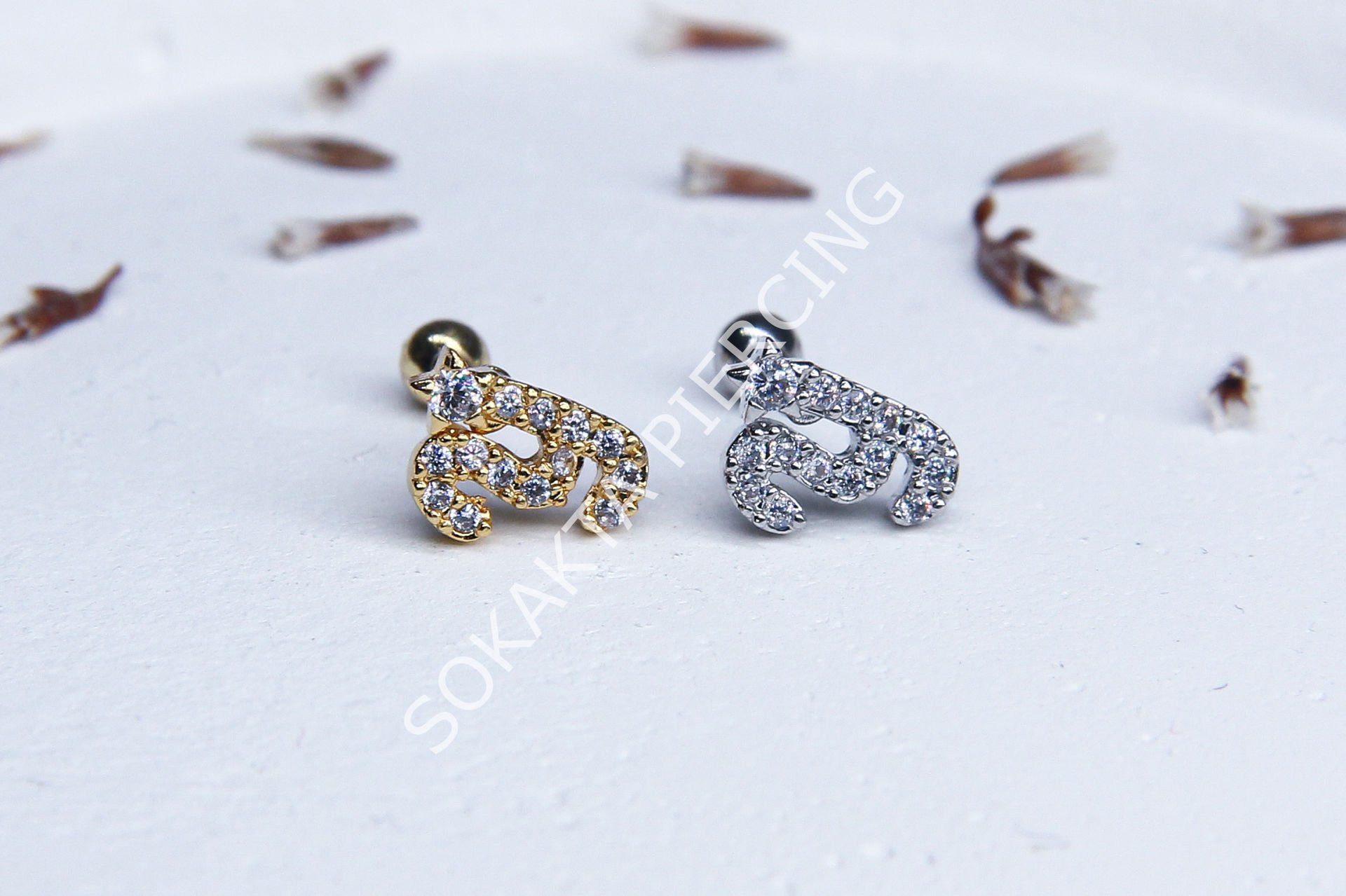 (Y) HARF TRAGUS