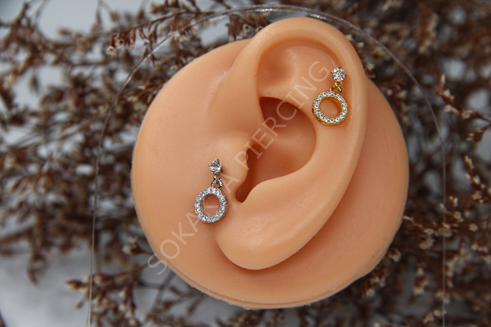 C11 - SALLANTILI TRAGUS - HELIX