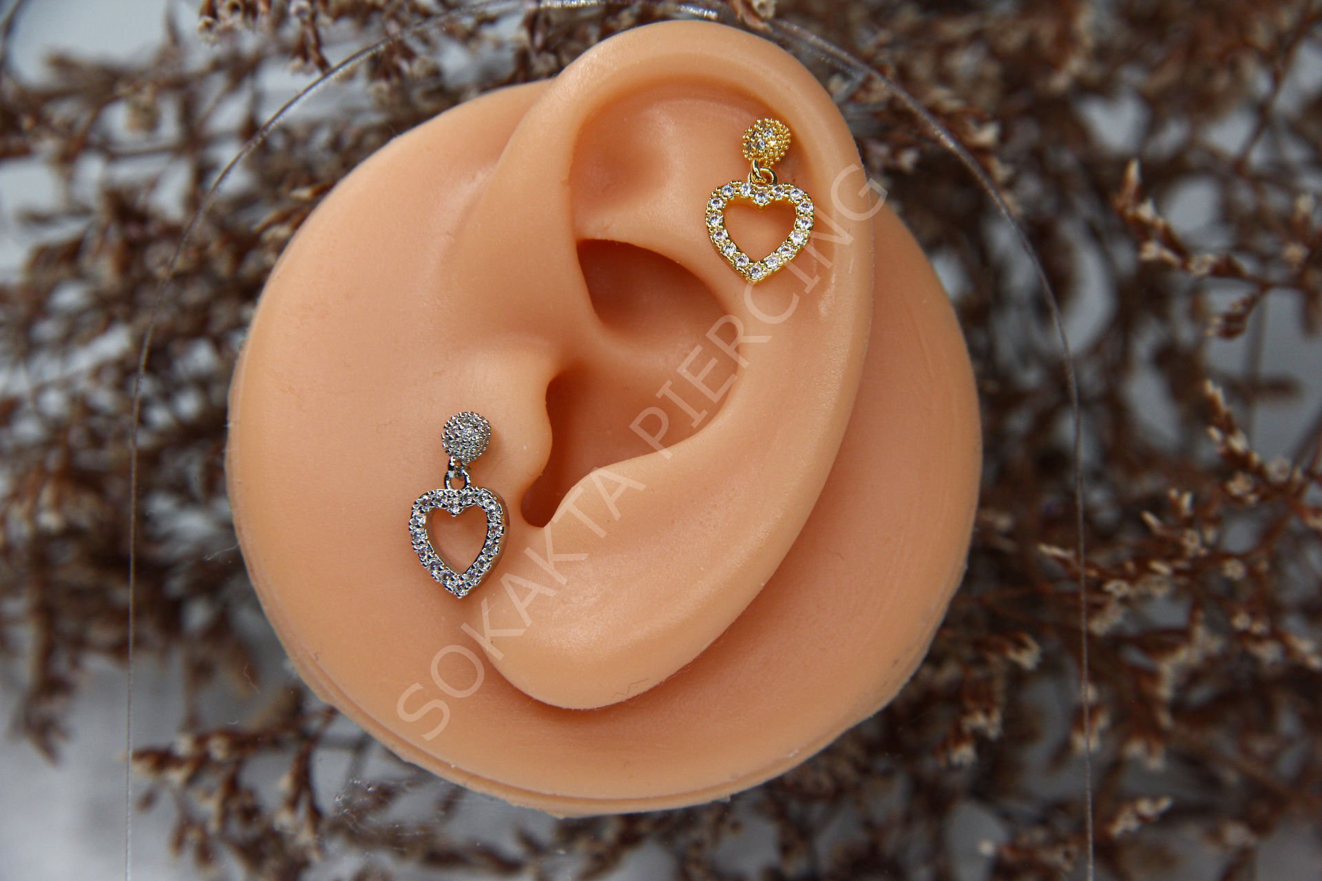 D6 - SALLANTILI TRAGUS - HELIX