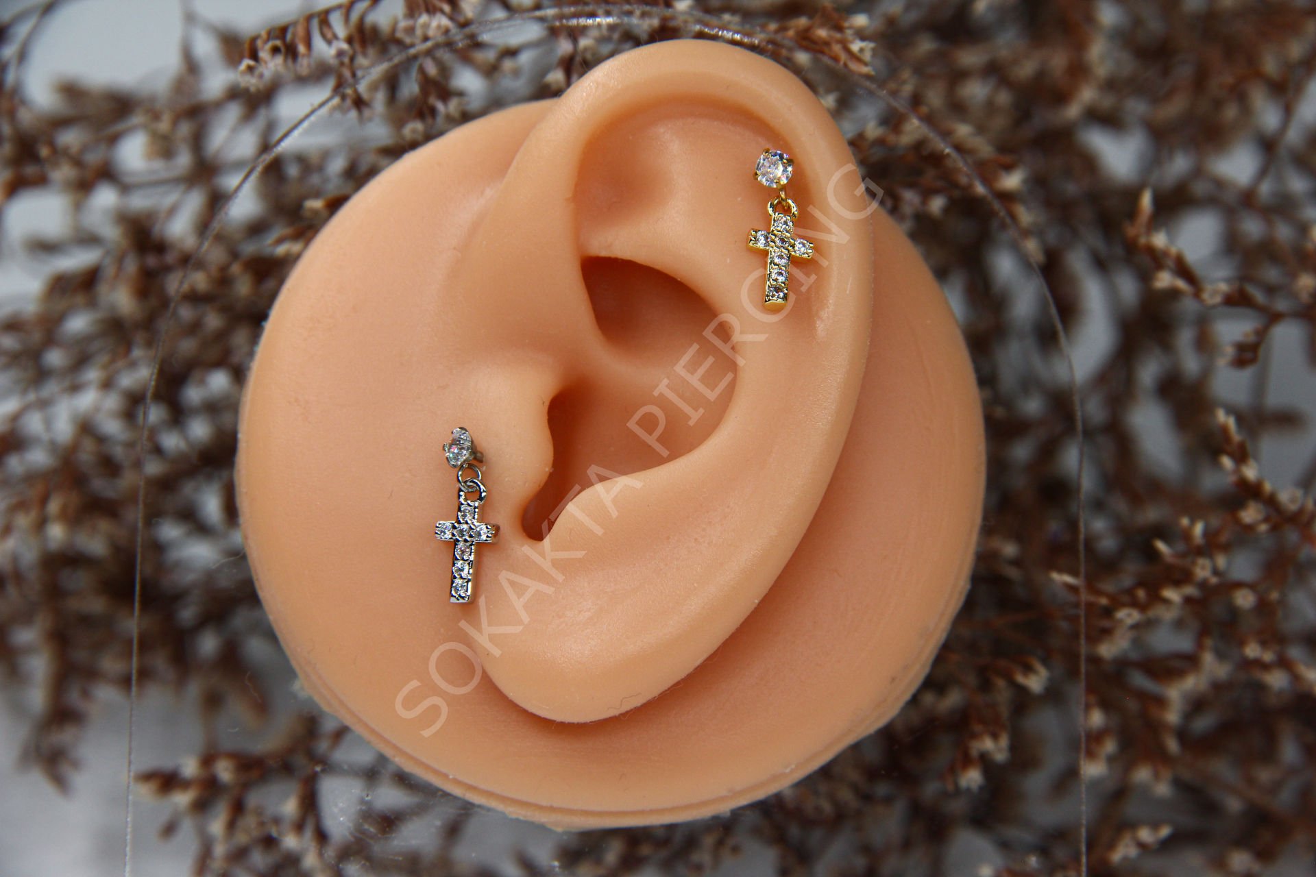 C8 - SALLANTILI TRAGUS - HELIX