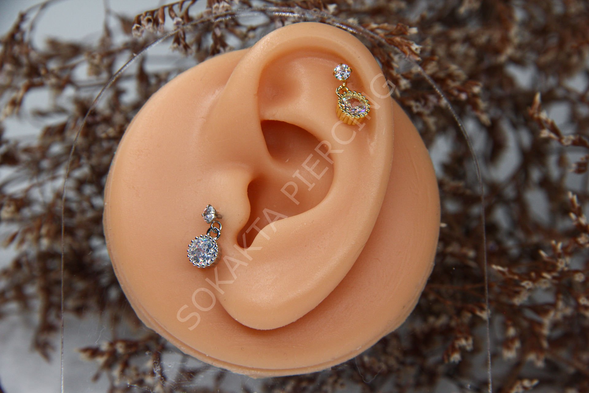 C18 - SALLANTILI TRAGUS - HELIX