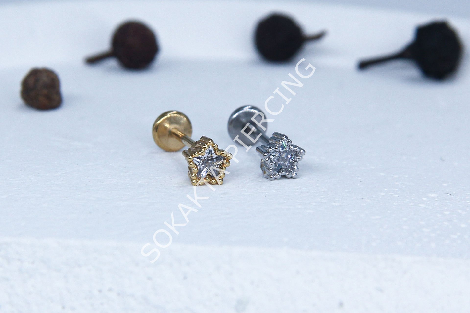C37 - TRAGUS