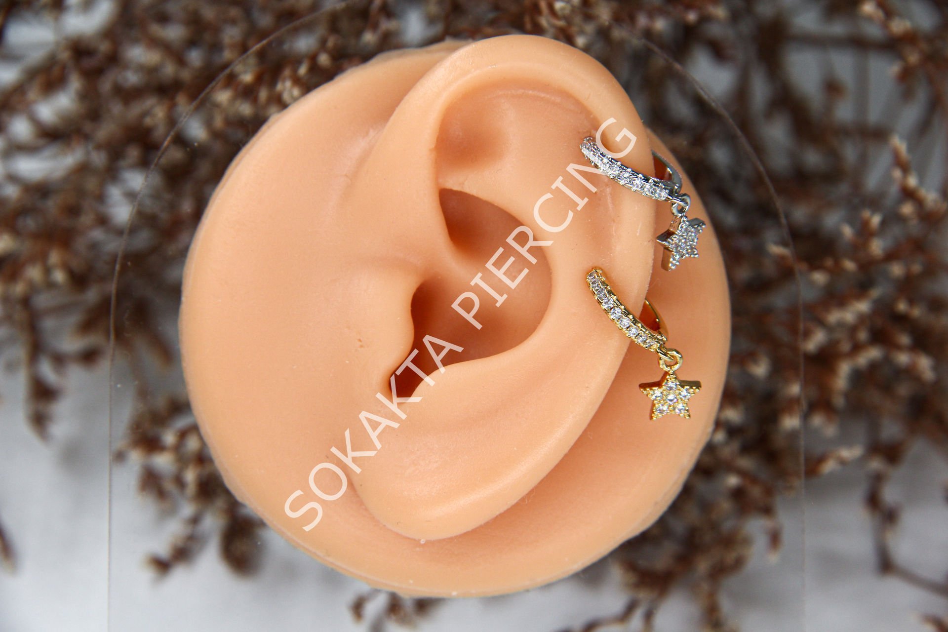 E274 - SALLANTILI TRAGUS - HALKA