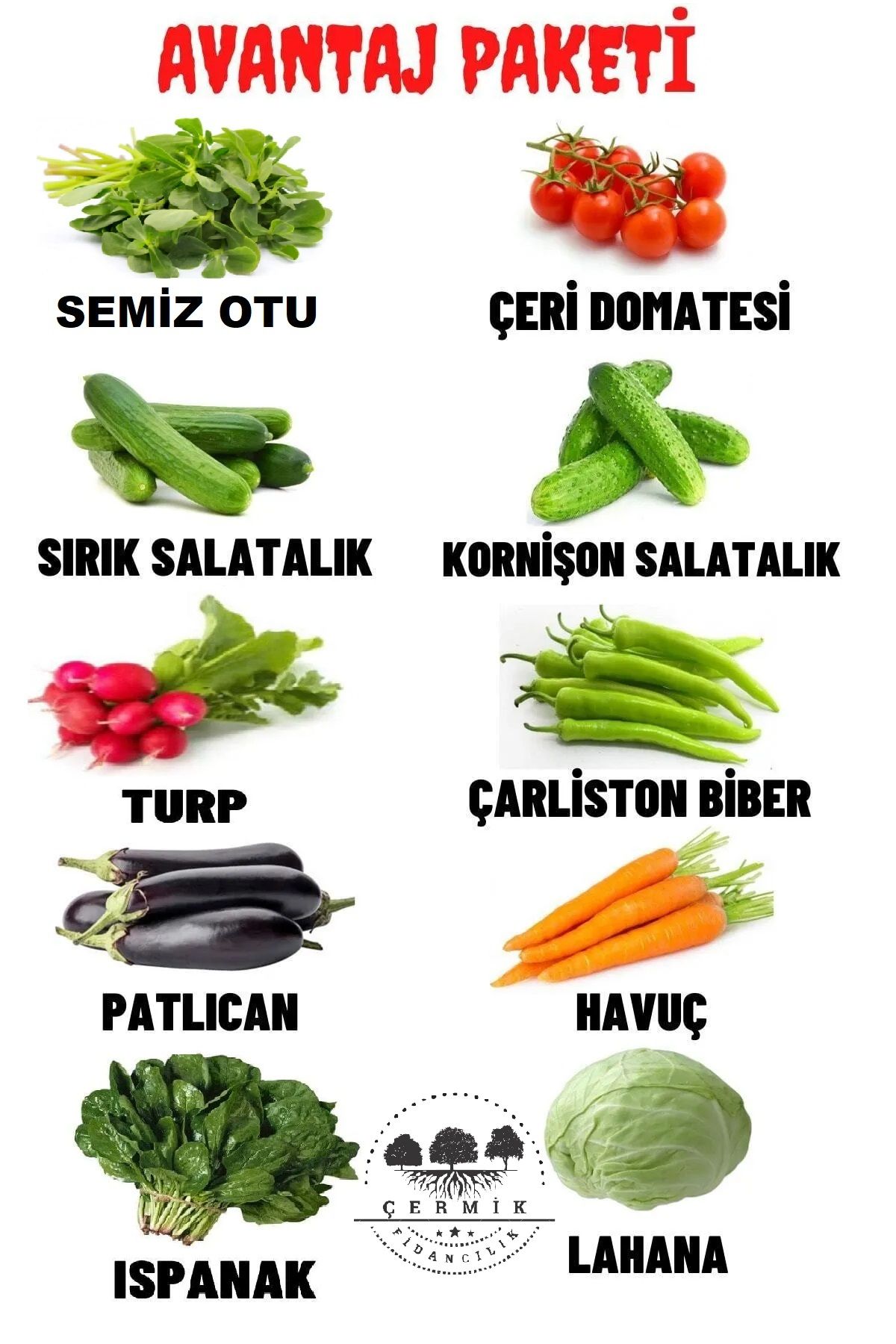 10 Çeşit Karışık Tohum Paketi 4