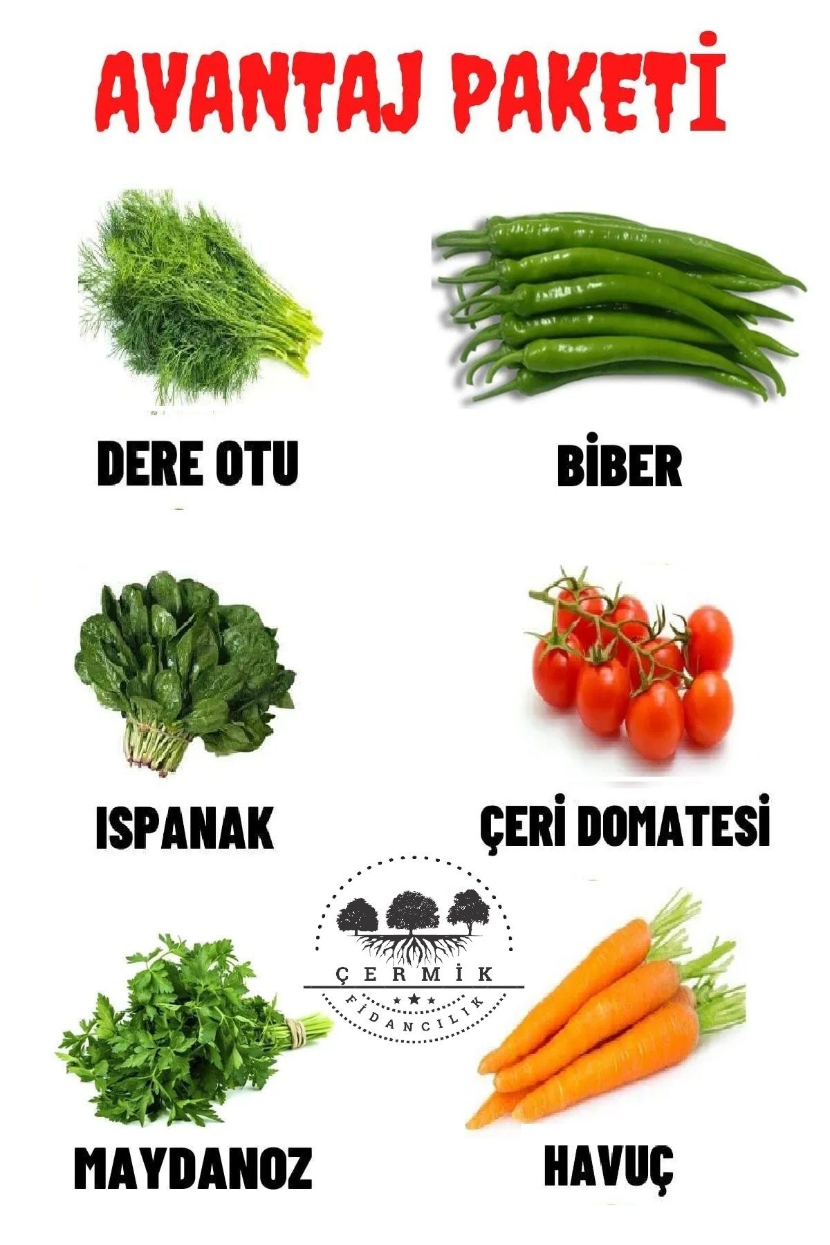 Tohum Paketi Dereotu ,biber , Ispanak, Çeri Domates , Maydanoz , Havuç 60 Gr