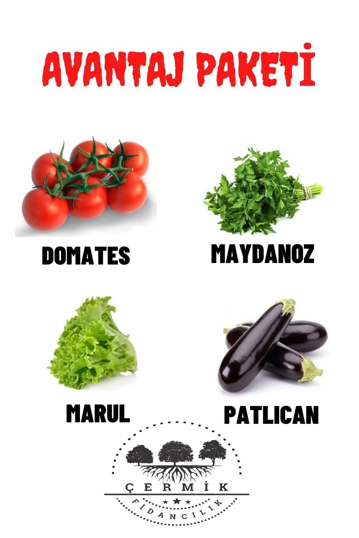 Tohum Paketi Domates , Maydanoz, Kıvırcık Marul , Patlıcan, 40 Gr