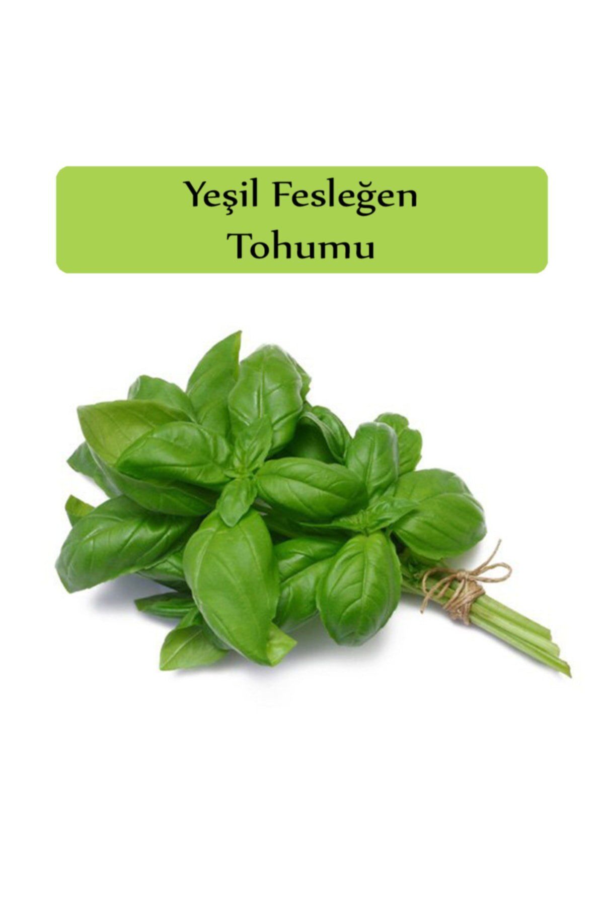 Yeşil Reyhan ( Fesleğen ) Tohumu Paketi