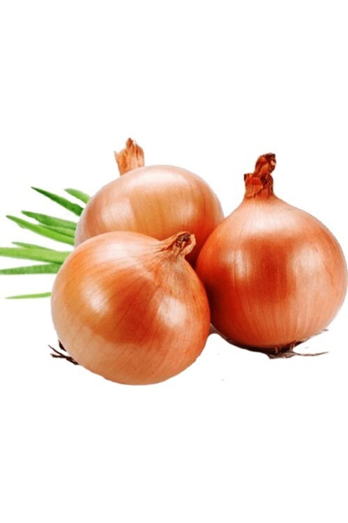 Kuru Soğan Tohumu Paketi