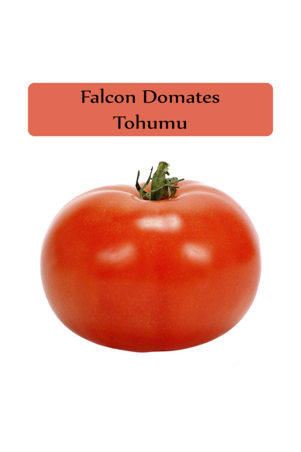 Falcon Domates Tohumu Paketi