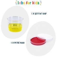 MİNİK PROFESÖR DENEY SETİ