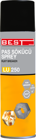 PAS SÖKÜCÜ 250 ML