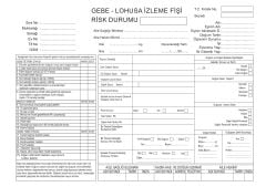 Gebe Lohusa İzleme Fişi