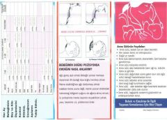 Anne Sütü Emzirme ve Emzikli Anne Beslenme Broşürü 50 Adet