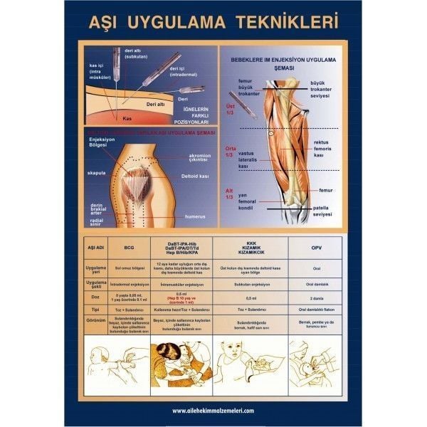 Aşı Uygulama Teknikleri Pvc Kaplı A3 Ebatında