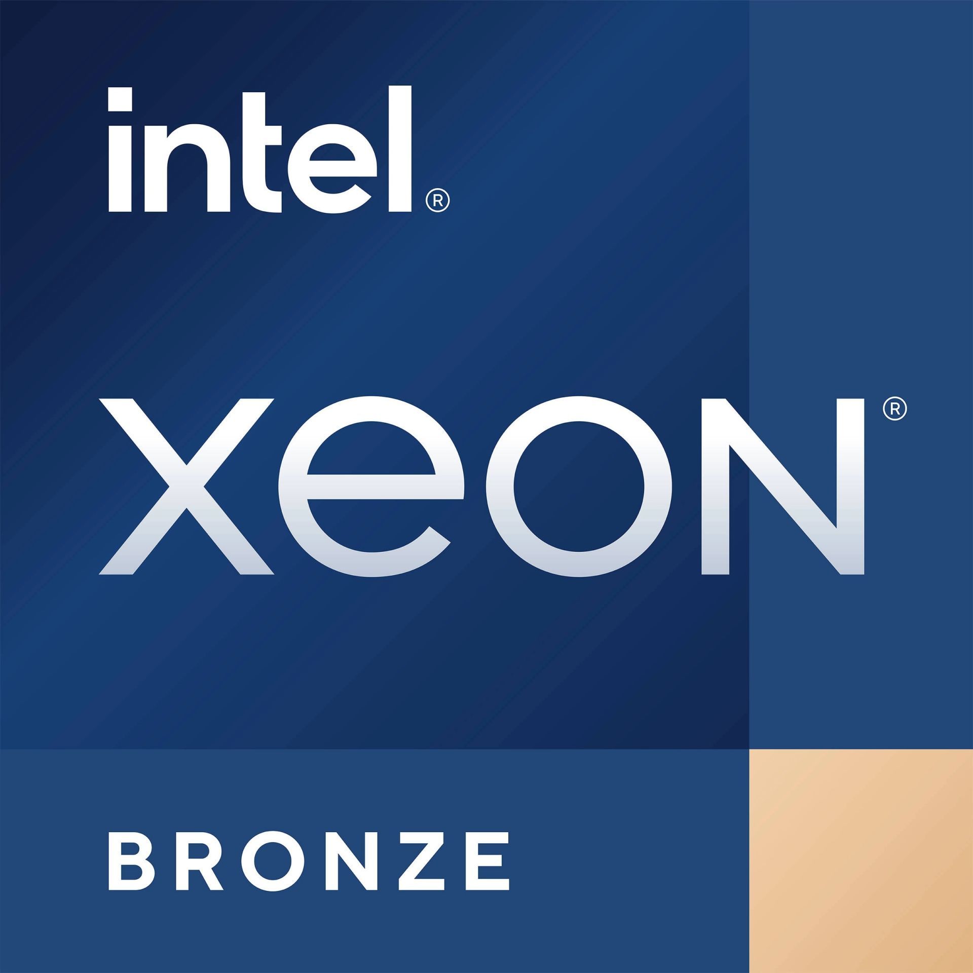 Dell CPU Intel® Xeon® Bronze 3204 (1.90 Ghz, 6 Core, 8.25 MB, 85W)