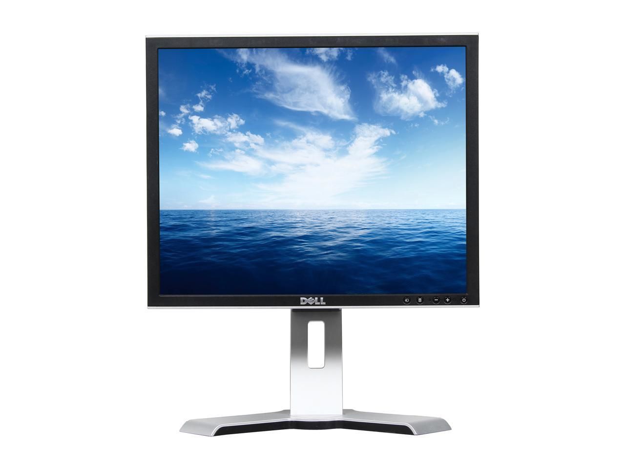DELL Monitor 1908FP
