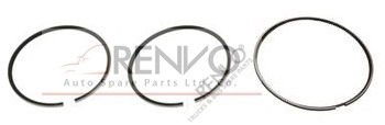 06-1315002.-5000323746-5001834329-5010295948-5010295978/20957N0 RVI SEGMAN 120 MM