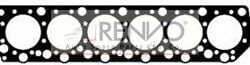 3099100-21431323 KAPAK CONTA.(VOLVO SİLİNDİR KAPAK CONTASI. VOLVO D12 C MOTOR FH 12/16
