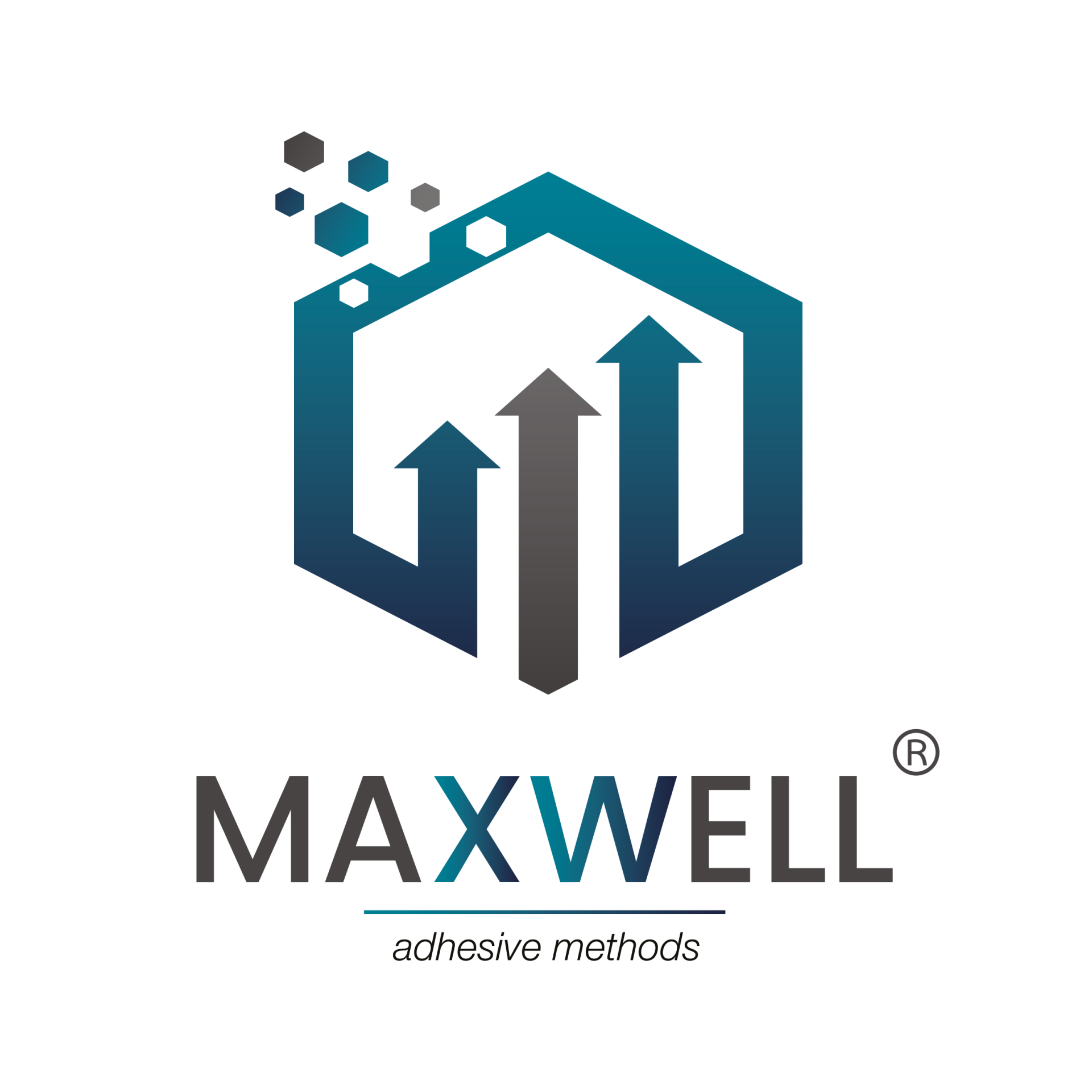 MAXWELL 2K SERTLEŞTİRİCİ - SLOW