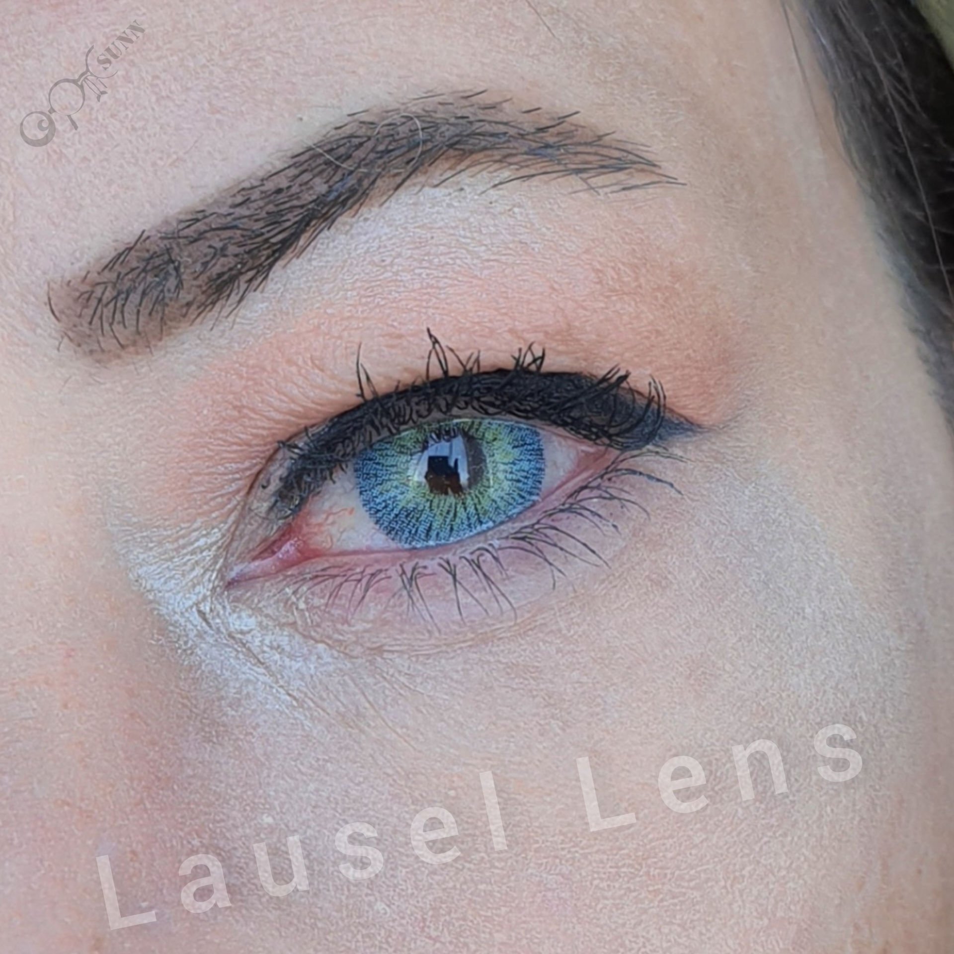 Lausel Lens Galaxy
