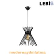 Lebis Siyah Renk Kirpi Sarkıt