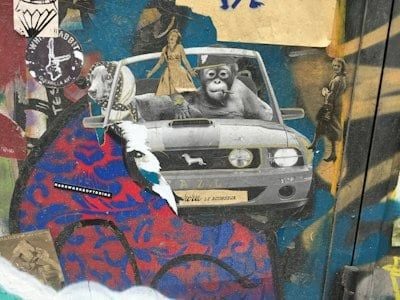 Letgo İkinci El Parke