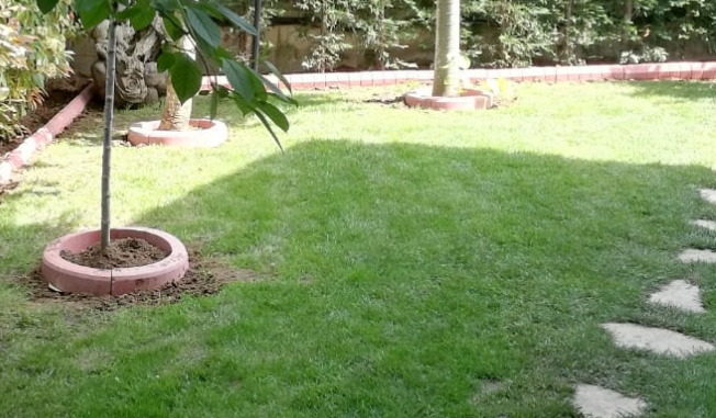 Ağaç Dibi 01 Round Tree Base Border: Enhance Your Garden with Style and Function