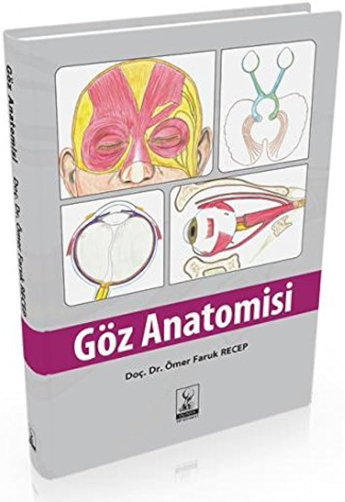 Göz Anatomisi