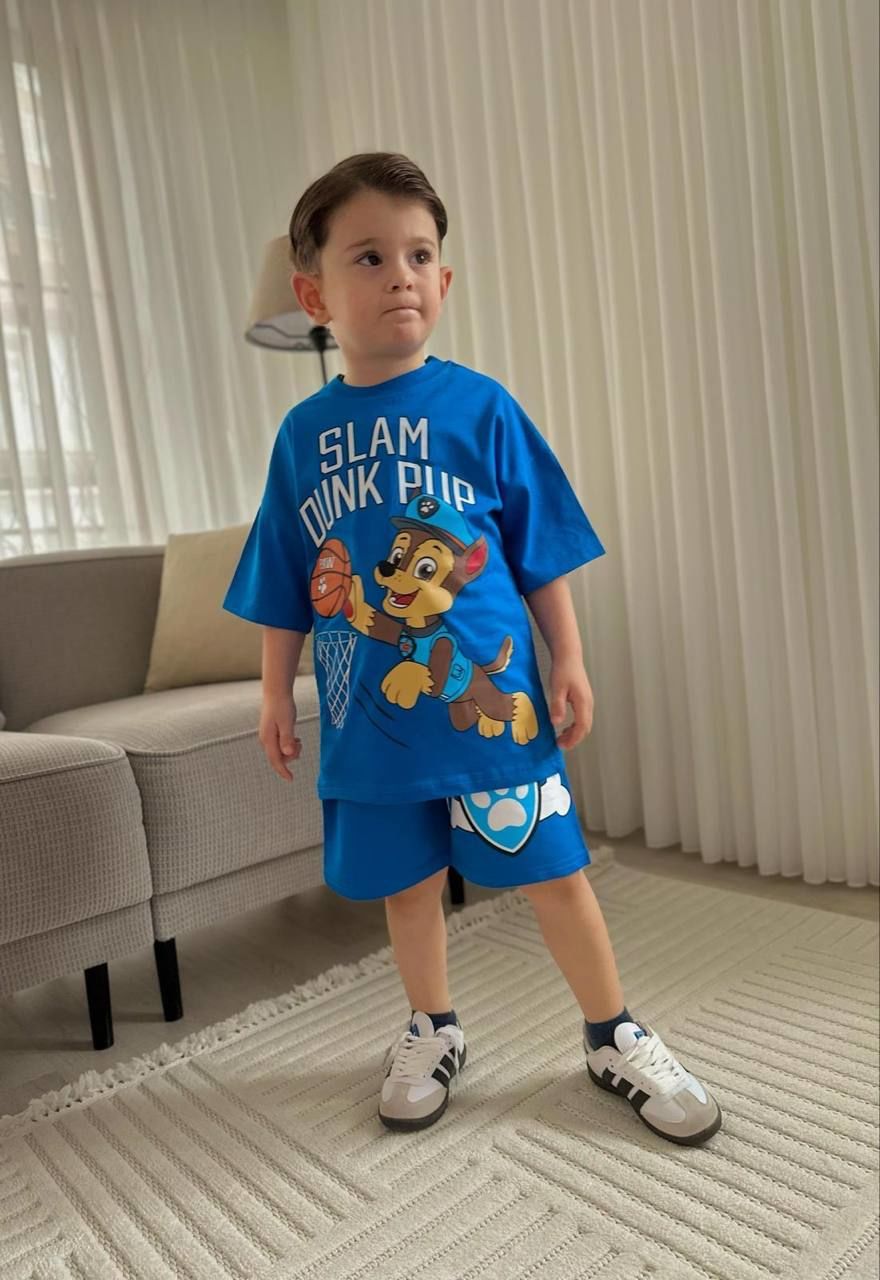 Paw patrol mavi