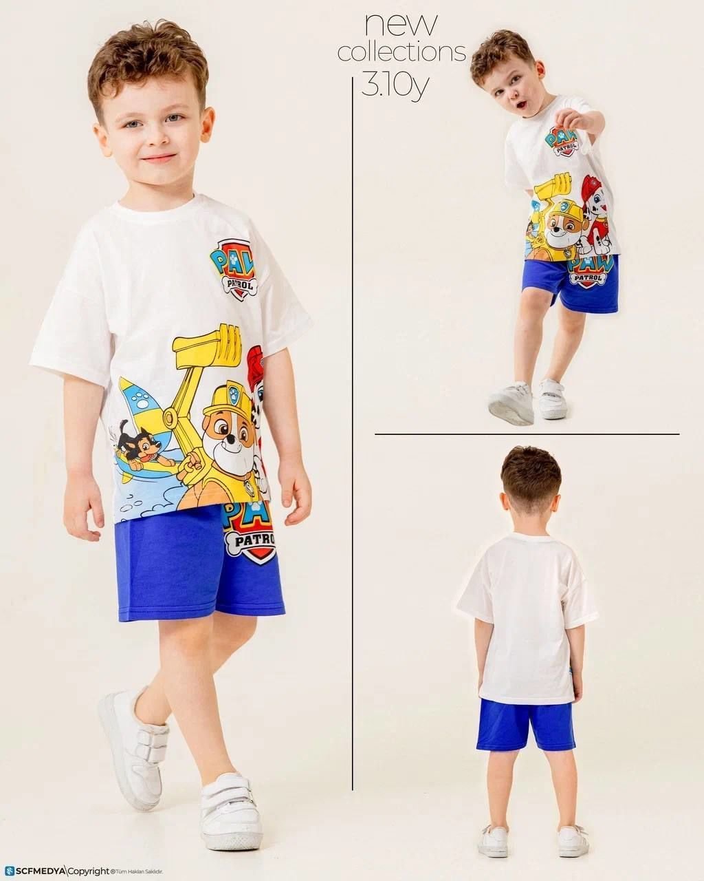 Paw patrol takım