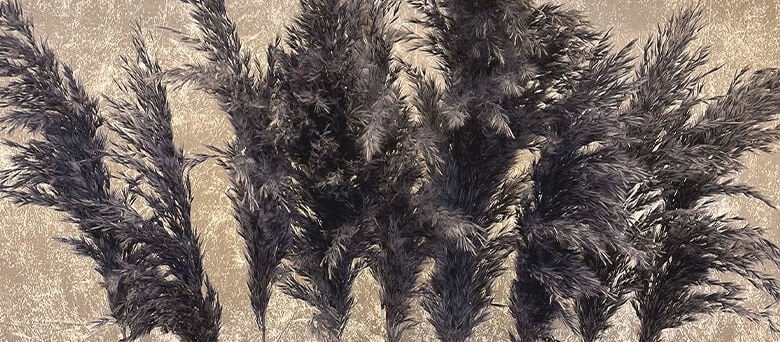 Pampas Nasıl Kabartılır?