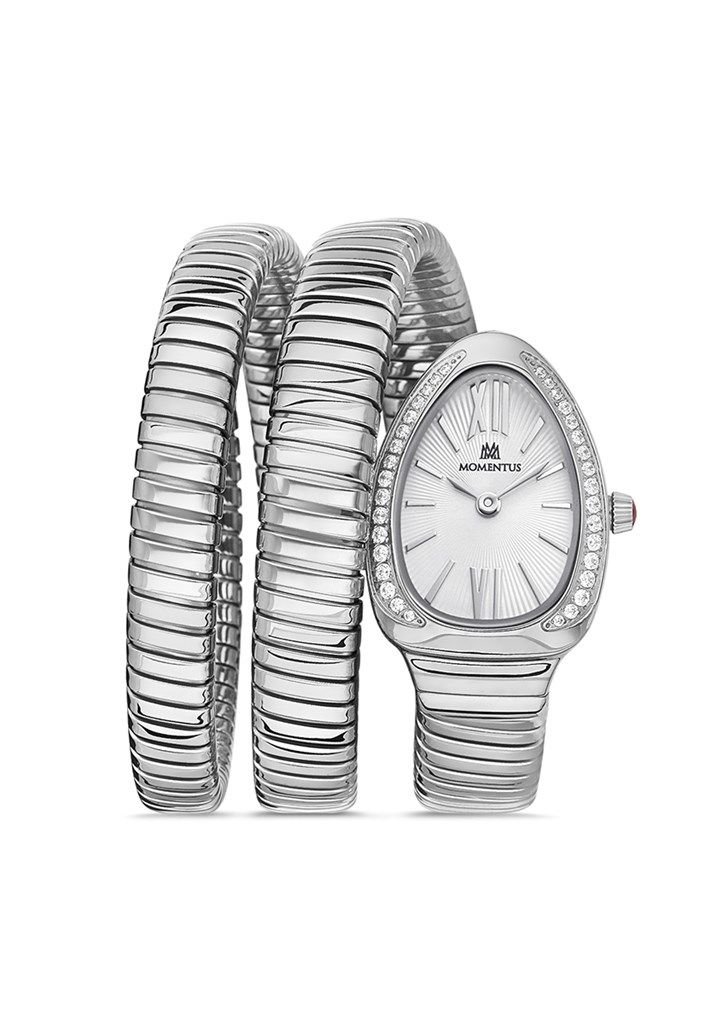 MOMENTUS SS256S-02SS