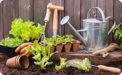 Blog başlığı bu alana gelecek lorem ipsum dolares