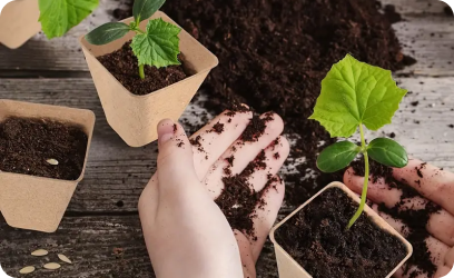 Blog başlığı bu alana gelecek lorem ipsum dolares