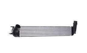 Laguna 3-III Turbo Radyatörü (2008-2015) 2.0 Dci M9R 144610001N -Renault Mais