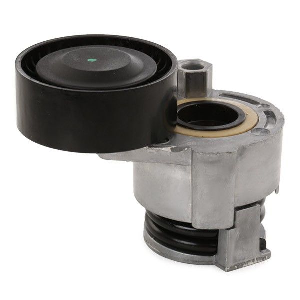 Lodgy Dokker Alternatör Gergi Rulmanı Kütüklü Komple 1.5 Dci K9K 117501083R -Aba