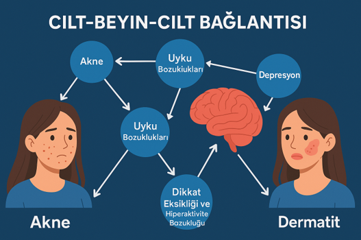 Dinamik Bayes Ağları Kullanarak İnfodemyoloji Verilerinden Cilt-Beyin-Cilt Bağlantılarını Çıkarım