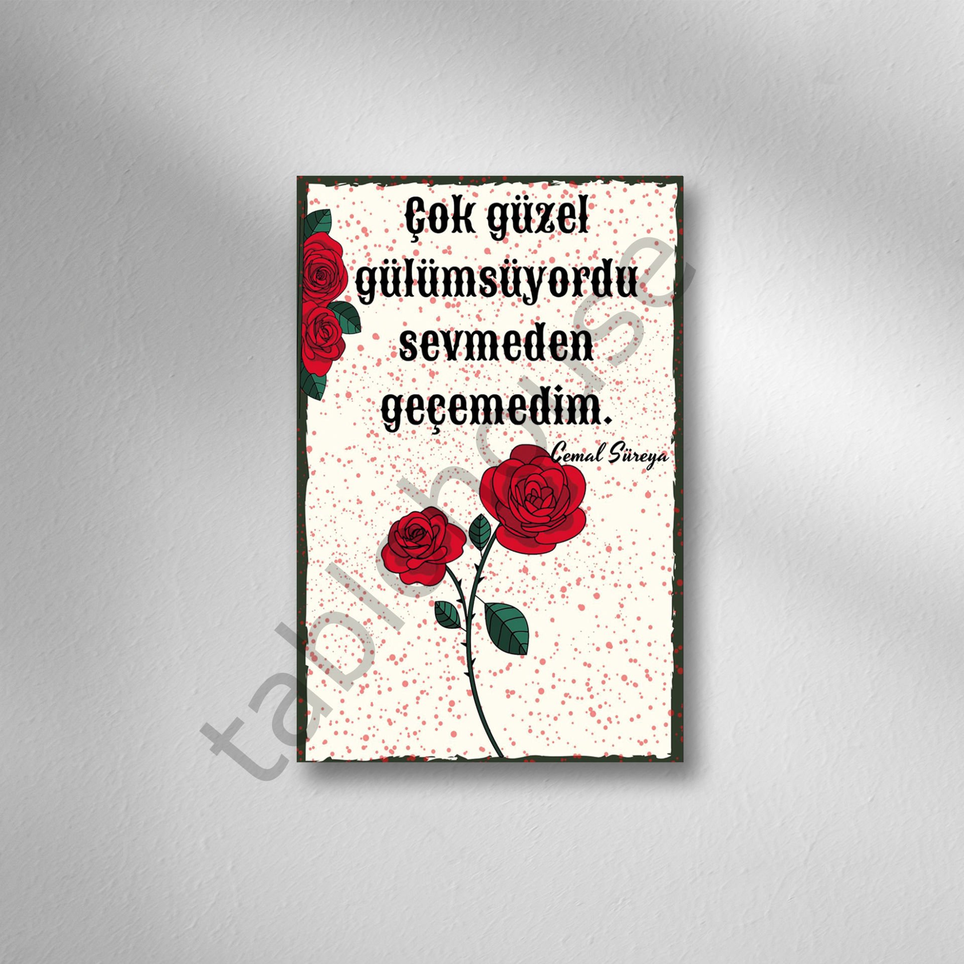 Çok Güzel Gülüyordu Sevmeden Geçemedim Retro Ahşap Poster