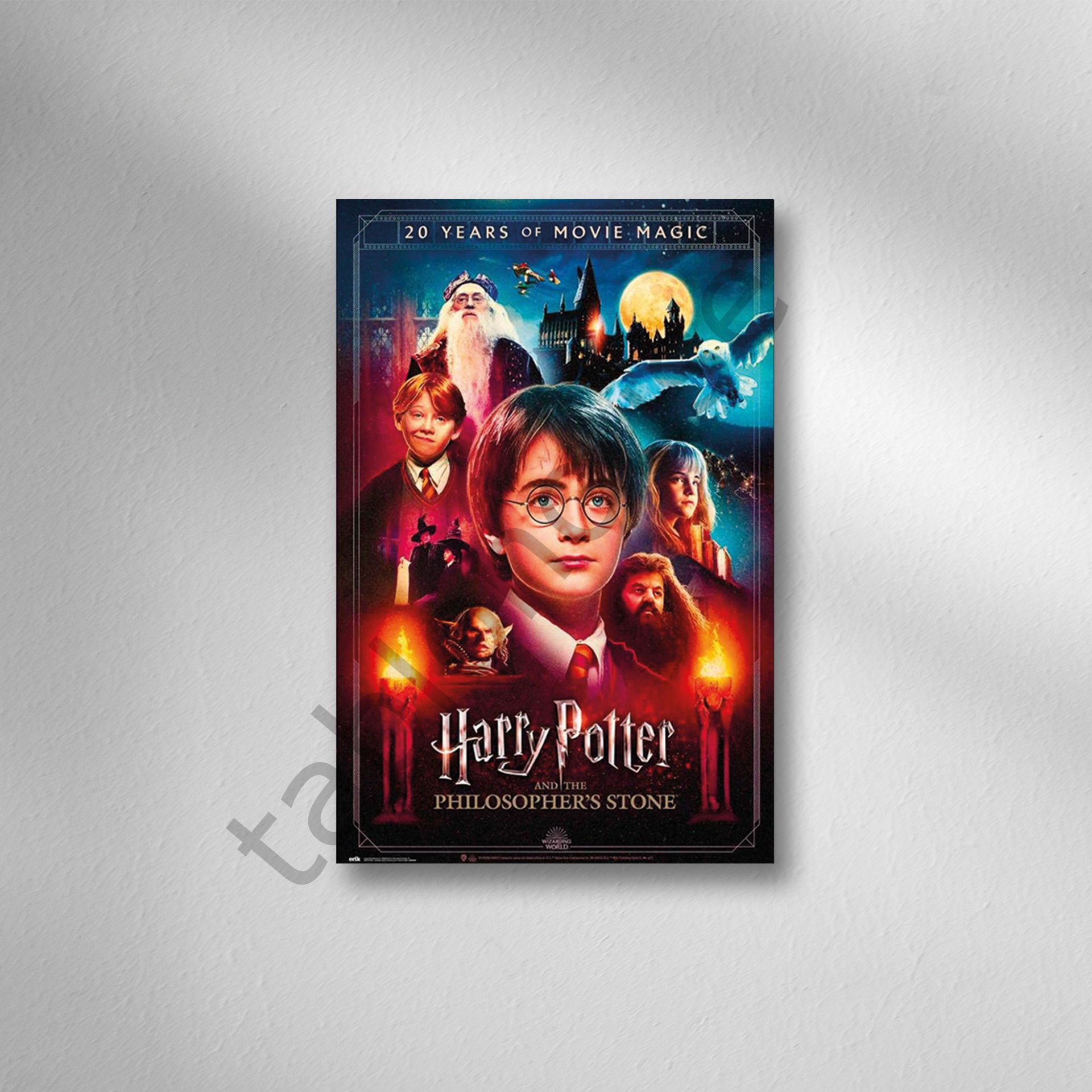 Harry Potter Retro Ahşap Poster