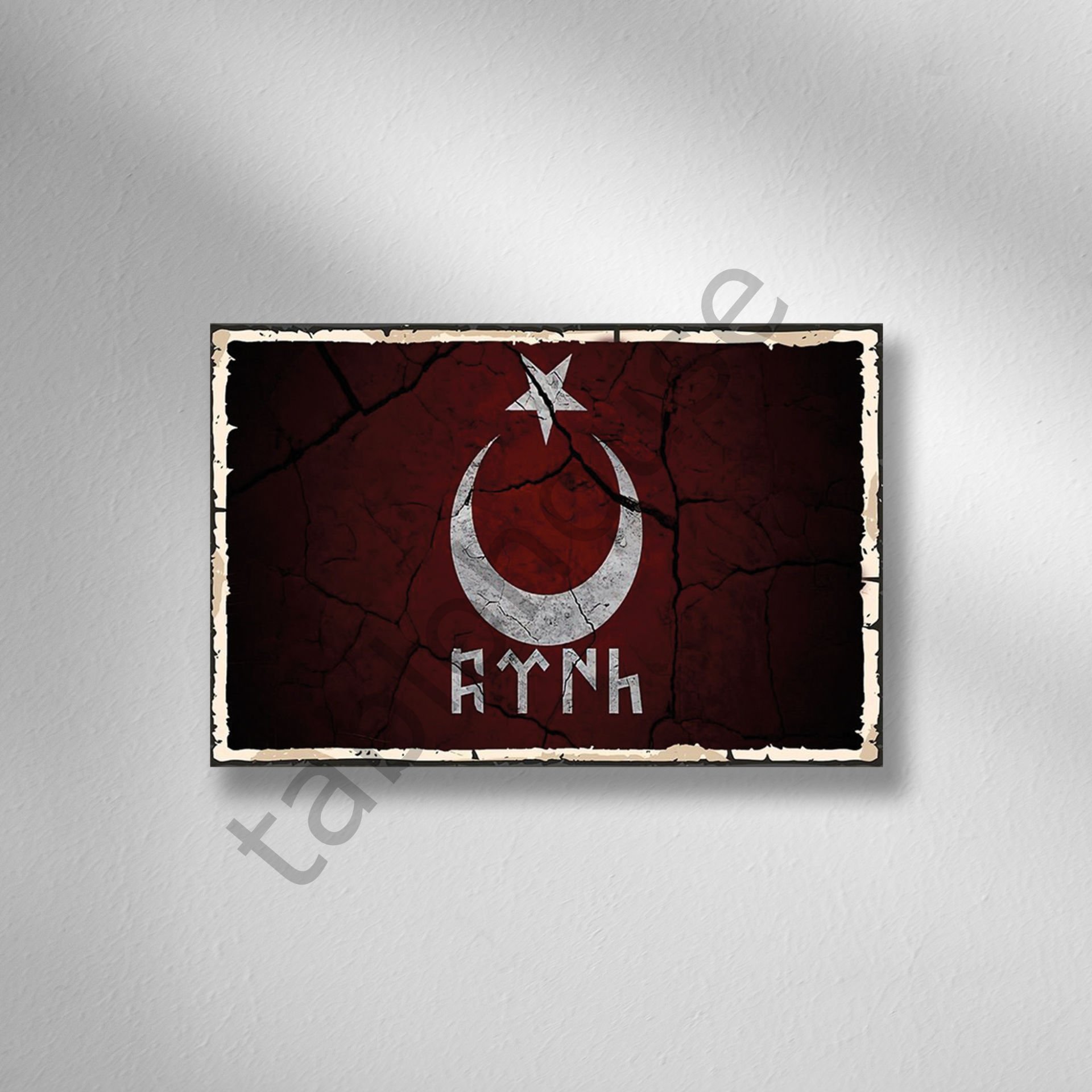 Göktürkçe TÜRK Retro Ahşap Poster