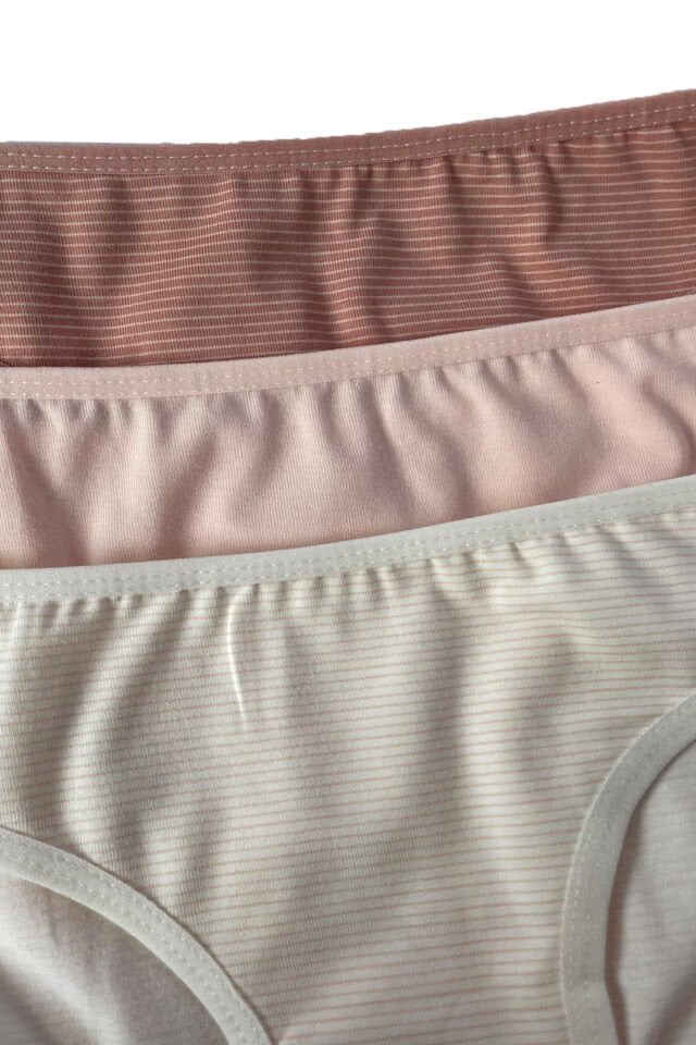 Kadın 3'lü Pamuklu Basic Külot Kahverengi - Ten - L/XL