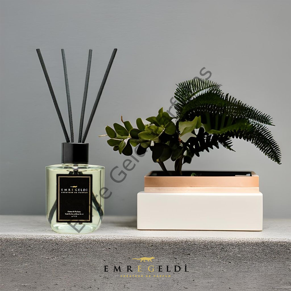 Emre Geldi GINGER TONIC Bambu Çubuklu Oda Kokusu 100 ML