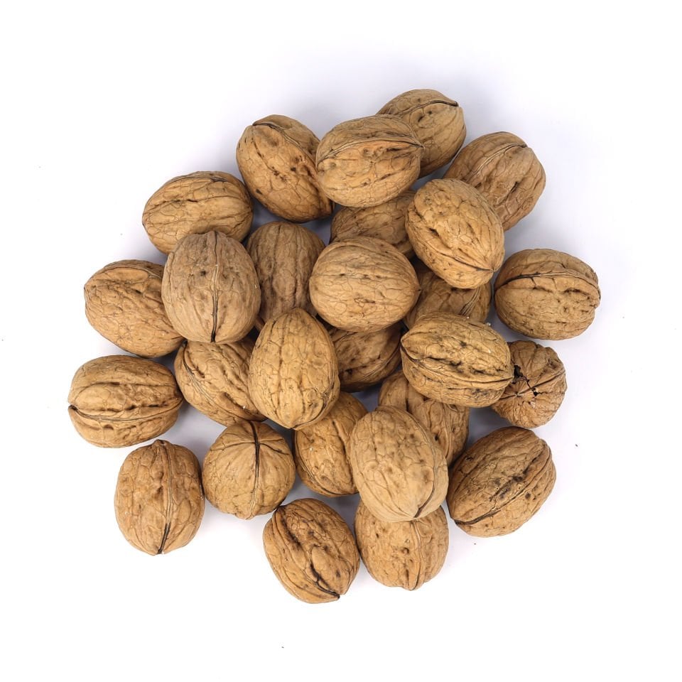 İNCE KABUKLU CEVİZ